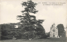 Rueil * Le Cèdre Et La Chapelle Au Château De La Malmaison * Arbre - Rueil Malmaison