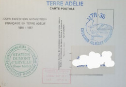 Carte Postale Postée Terre Adélie. EPF TA 36. 2 CACHETS STATION DD - Lettres & Documents