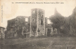 Champtoceaux * Ruines D'un Monastère Fondé Au XIIIème Siècle - Champtoceaux