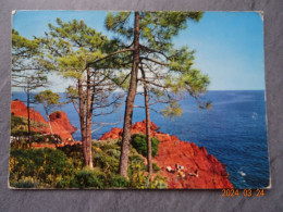 PINEDE ET ROCHERS ROUGES DE L'ESTEREL - Saint-Raphaël