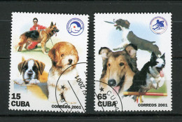 CUBA -  CHIENS  N°Yt 3928+3930 Obli. - Used Stamps