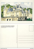 POPPE : Carte Postale CHÂTEAU USSE - Postkaarten