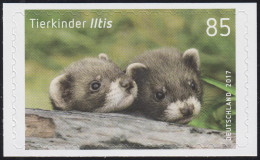 3294 Tierkinder Iltis Selbstklebend NEUTRALE Folie, 10 Einzelmarken, Alle ** - Unused Stamps