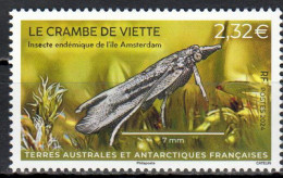 TAAF - Postfris / MNH - Insects 2024 - Nuovi