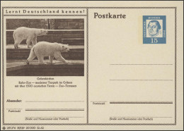 P081-18/129 Gelsenkirchen, Ruhr-Zoo: Eisbären ** - Cartoline Illustrate - Nuovi