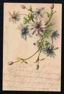 AK Lila Margeriten Blüten Bouqet, ST.GALLEN /AMRISWEIL  Brf. Exp. 4.10.1899 - Autres & Non Classés