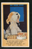 Illustration Georges Willis - Chien - Valentine's Card - "Chummy" - Chiens
