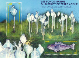 TAAF - Postfris / MNH - Sheet Marine Life 2024 - Unused Stamps