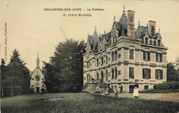 Chalonnes Sur Loire * Le Château Du Grand Montaigu - Chalonnes Sur Loire