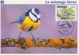 Carte  Maximum  1er  Jour   ANDORRE   ANDORRA    La  Mésange  Bleue   EURANDORRE    POITIERS   2014 - Maximum Cards