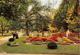 VICHY Floralies Au Parc  15 (scan Recto Verso)PFRCR00085P - Vichy