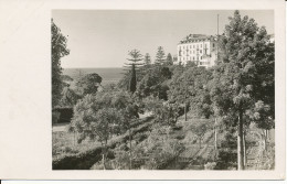 PC36648 Old Postcard. A Large House And Beautiful Garden Near The Sea. Agfa - World