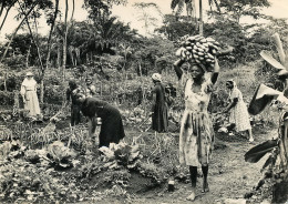 Soeurs Du Saint Coeur Cameroun - Mission D'Akonolinga - Jardinage à La Mission (scan Recto-verso) PFRCR00047 P - Cameroon