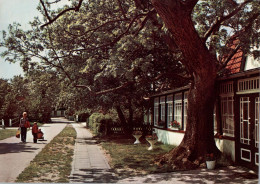 2941 SPIEKEROOG, Strassenpartie, 1977 - Wittmund