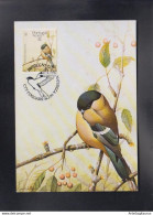 PORTUGAL-ACORES, CARTE MAXIMUM - BIRDS-Pyrhulla Munna, WWF # - Songbirds & Tree Dwellers