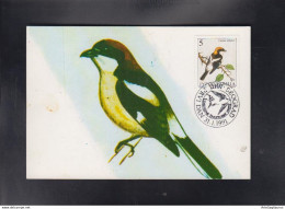 YUGOSLAVIA, CARTE MAXIMUM - BIRDS-Lanius Senator # - Uccelli Canterini Ed Arboricoli