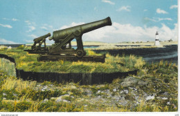 ST PIERRE Et MIQUELON - La Pointe Aux Canons - Saint-Pierre En Miquelon