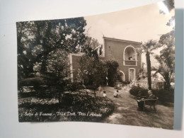 SELVA DI FASANO   VILLA DOTT.  VITO L'ABBATE VIAGGIATA COME DA FOTO IMM. LUCIDA - Brindisi