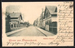 AK Delmenhorst, Partie In Der Mühlen-Strasse  - Delmenhorst