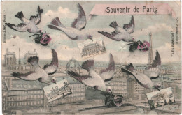 CPA Carte Postale  France Paris Souvenir Pigeons Multi Vues 1907  VM79107 - Panorama's