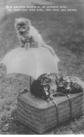 CHATS AC#MK899 CHATONS PANIER PARAPLUIE - Chats