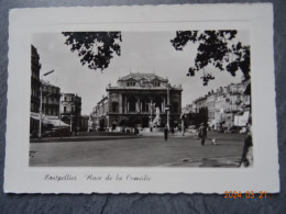 PLACE DE LA COMEDIE - Montpellier