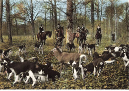 SPORTS AG#MK785 CHASSE A COURRE EN FORET L HALLALI - Hunting