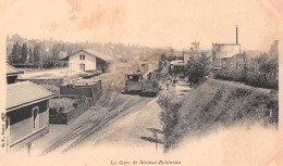 SCEAUX-Robinson (Hauts-de-Seine) - La Gare Avec Train - Précurseur - Sceaux