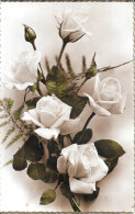 ROSES BLANCHES - Other & Unclassified