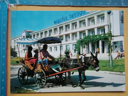 Kov 407-16 - BULGARIA, VARNA, HOTEL, DONKEY - Bulgaria