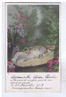 FANTAISIE - BEBE - Faire-Part De Naissance - Bébé Dans Une Panière Avec Fleurs - Humorous Cards
