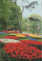 102667 - Niederlande - Lisse - Keukenhof - Ca. 1985 - Lisse