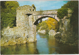 Sites Pyreneens Le Pont Du Diable - Autres & Non Classés