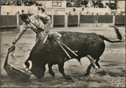 CPSM - Muletazo Por Bajo - Derechazo - Torero : JUMILLANO - Stierkampf