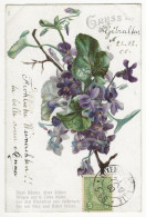 449 - Bouquet De Violettes - Flowers