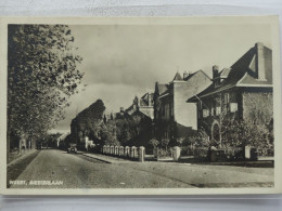 WEERT    Biesterlaan        NO43 - Weert