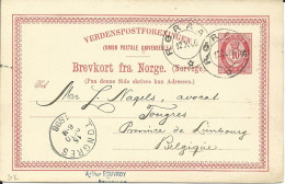 Norwegen P31 II, 10 öre Ganzsache 1896 V. Röraas N. Belgien - Covers & Documents