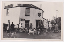 Devon - NEWTON ST CRES, Iron Horse Public House & Fox Hunters, Near Exeter, Real Photo - Sonstige & Ohne Zuordnung