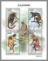 NIGER 2023 MNH Primaten Monkeys Affen M/S – OFFICIAL ISSUE – DHQ2413 - Singes