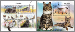 NIGER 2023 MNH Cats Katzen M/S+S/S – OFFICIAL ISSUE – DHQ2413 - Gatos Domésticos