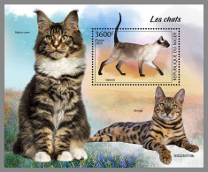 NIGER 2023 MNH Cats Katzen S/S – OFFICIAL ISSUE – DHQ2413 - Chats Domestiques