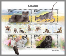 NIGER 2023 MNH Cats Katzen M/S – OFFICIAL ISSUE – DHQ2413 - Chats Domestiques