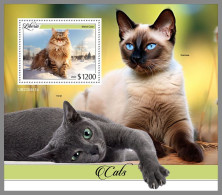 LIBERIA 2023 MNH Cats Katzen S/S – OFFICIAL ISSUE – DHQ2413 - Gatos Domésticos