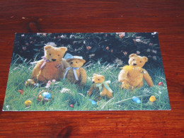 73326-      BEREN / BEARS / BÄREN / OURS / ORSI / TEDDYBEARS - Spielzeug & Spiele