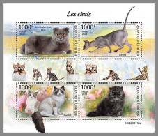 NIGER 2023 MNH Cats Katzen M/S – IMPERFORATED – DHQ2413 - Domestic Cats