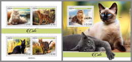 LIBERIA 2023 MNH Cats Katzen M/S+S/S – IMPERFORATED – DHQ2413 - Chats Domestiques