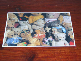 73331-      BEREN / BEARS / BÄREN / OURS / ORSI / TEDDYBEARS - Speelgoed & Spelen