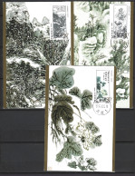 CHINE. 3 Cartes Maximum De 1996. Peintures De Huang Binhong. - Maximumkaarten