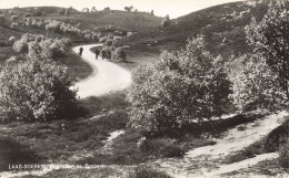 PAYS-BAS - Laag Soeren - Weg Aaar De Posbank - Amro Vakantieooord - Animé - Carte Postale Ancienne - Rheden