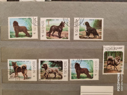 1986	Laos	Dogs (F87) - Laos